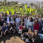 La Academia de Cine de España convoca, hasta este miércoles, a pasantías